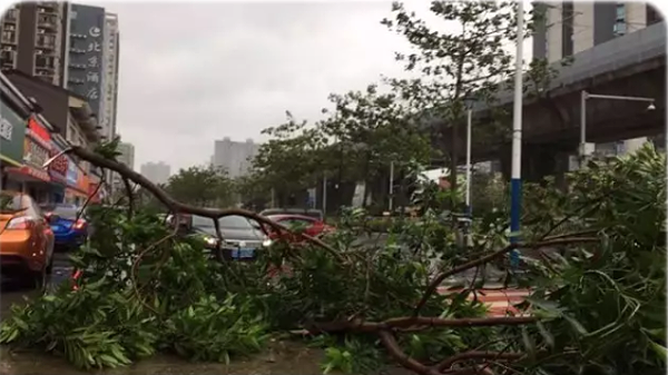 珠海台风灾害