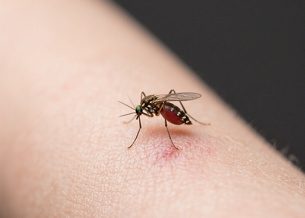 微信图片_20250820141700_713_27