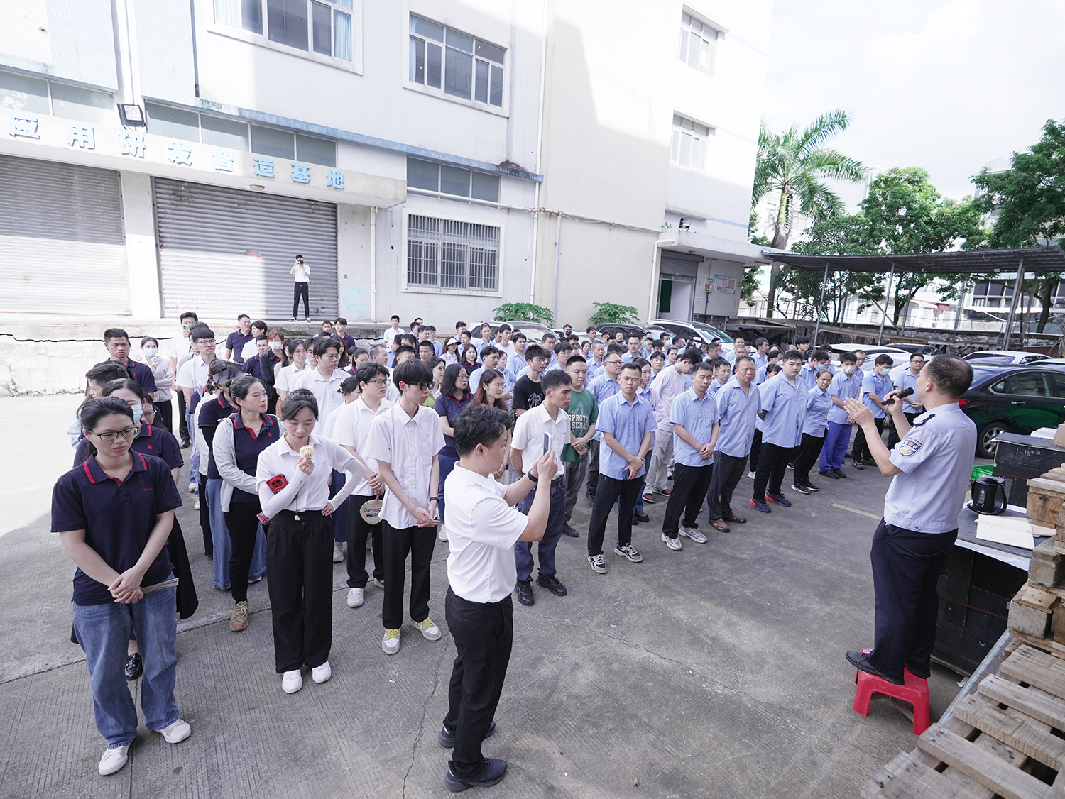 日均被骗100万?。苛榭迫薄胺凑┡嘌怠?，<i style='color:red'>民警</i>怒揭诈骗内幕！