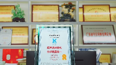 向下扎根的力量：灵科超声波全链垂直整合，铸就“<i style='color:red'>全球销冠</i>”护城河