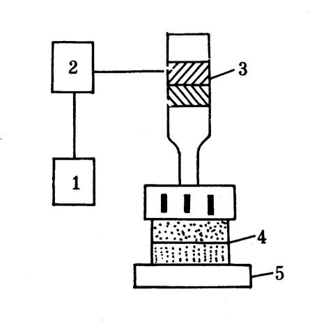 微信图片_20250312104611