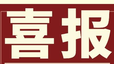 强势开新局 勇夺开门红 | 灵科超声波Q1业绩劲增14.96%创佳绩