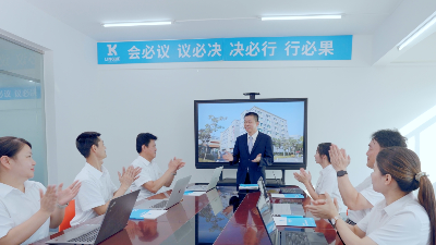 灵科超声波：从代理到<i style='color:red'>全球销量第一</i>的跨越之路